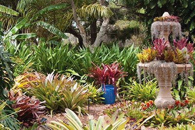 United States Botanic Gardens Exhibit Features Selby Gardens