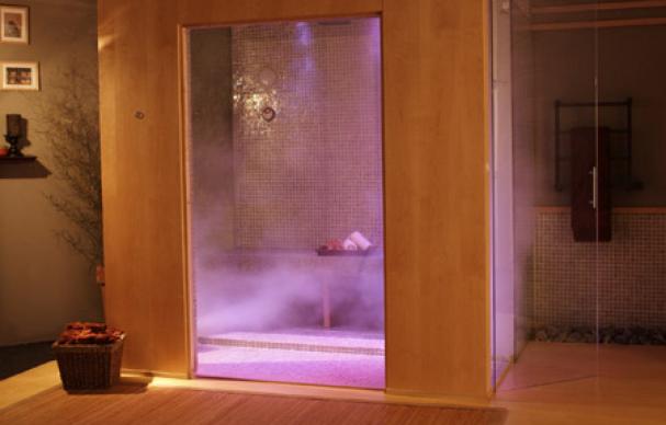 Mesa 609A Steam Shower